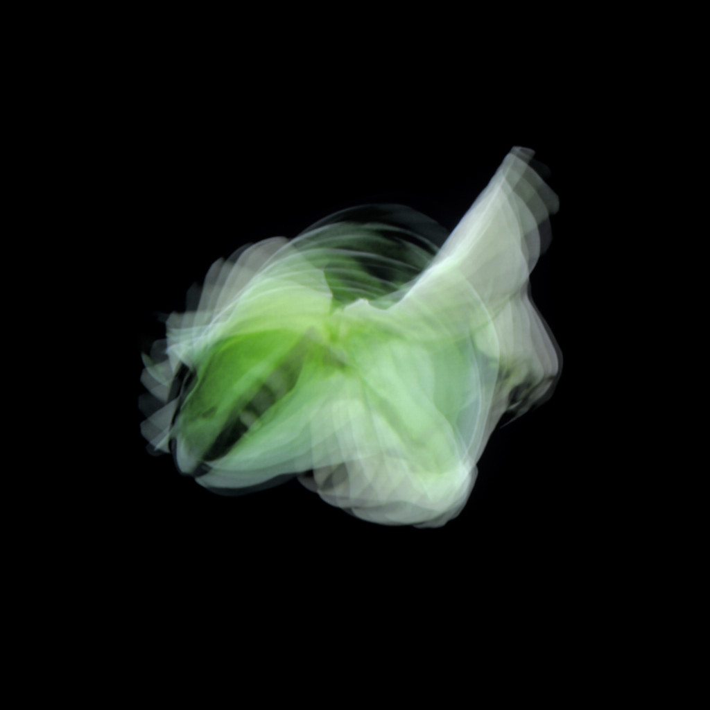 Elín Hansdóttir: Trace #7, 2010. Pigment print on archival paper. Courtesy of the artist and i8 Gallery.